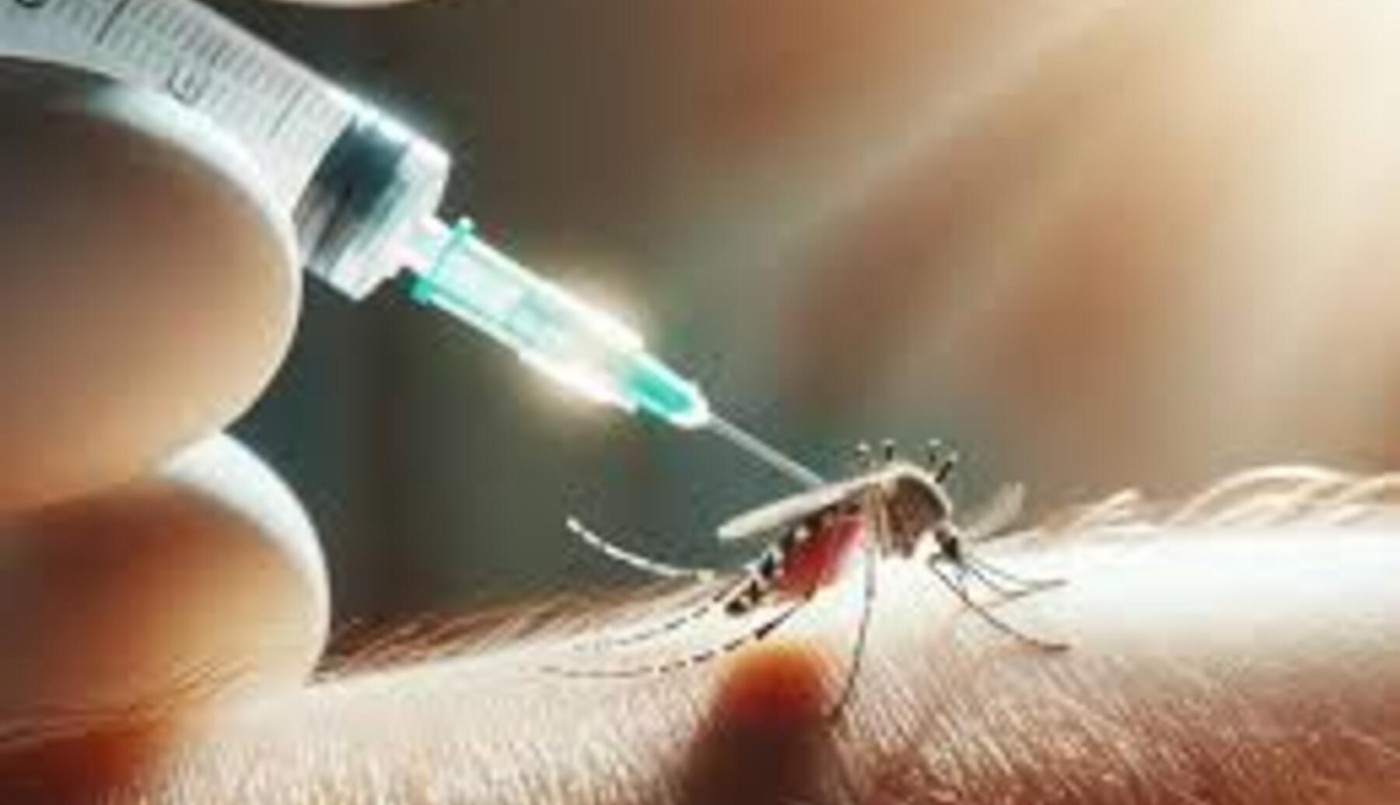 El Gobierno de Santa Fe evalúa vacunar contra el Dengue | Salud