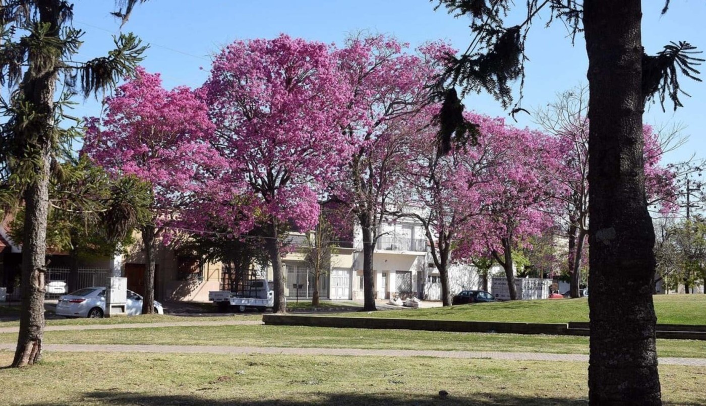 Sábado con cielo despejado y temperatura agradable en Santa Fe | Información General