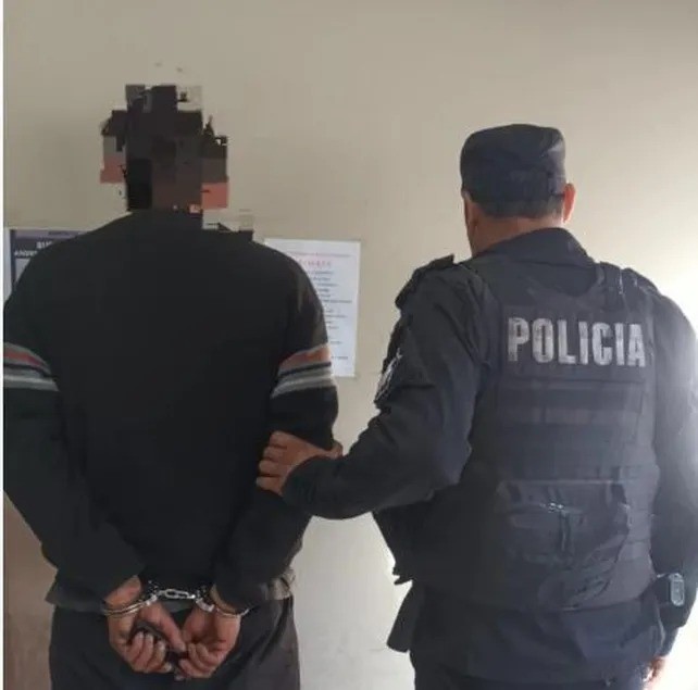 Detuvieron a un hombre por los incendios en Sauce Viejo | Policiales