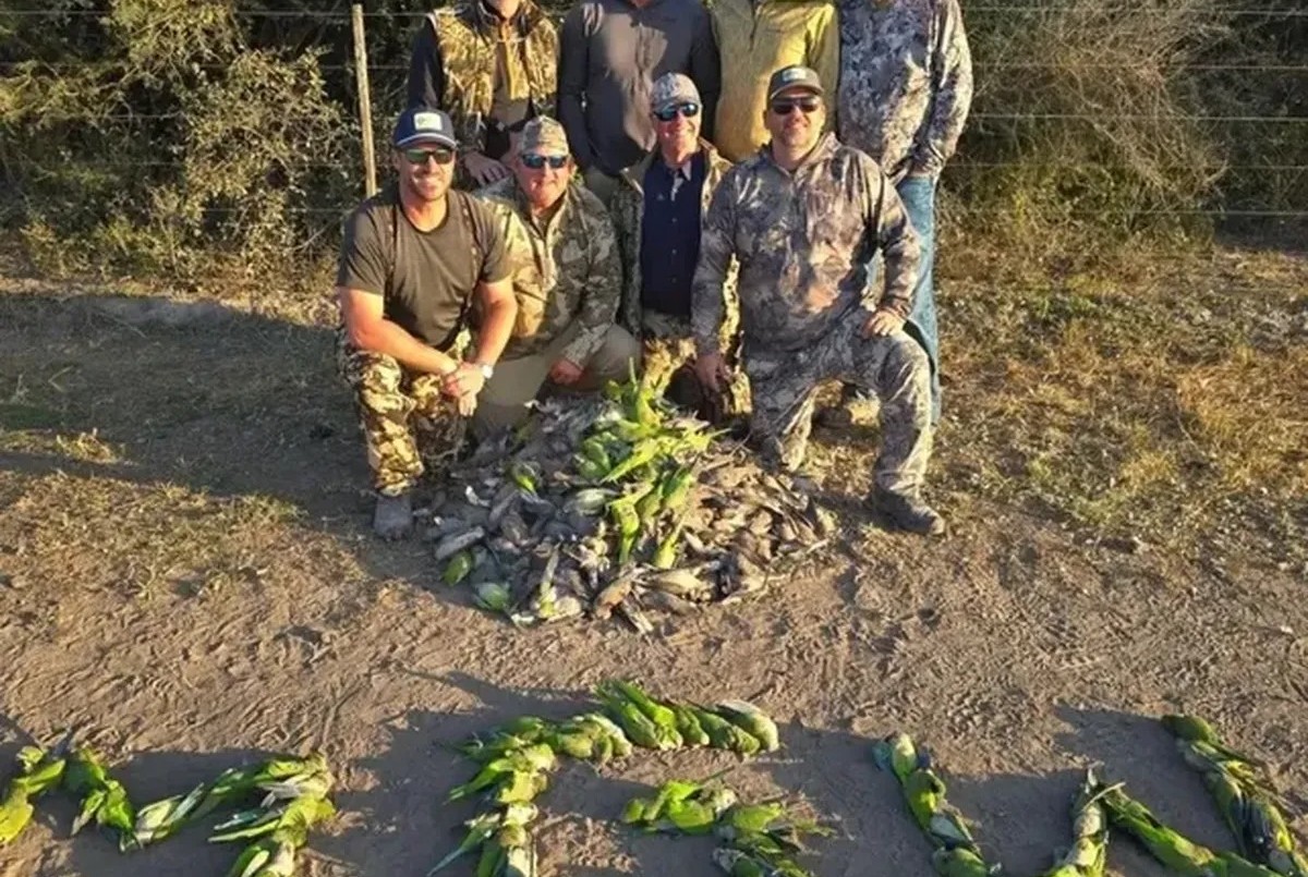 Turistas de Estados Unidos realizaron caza ilegal en San Javier | Información General
