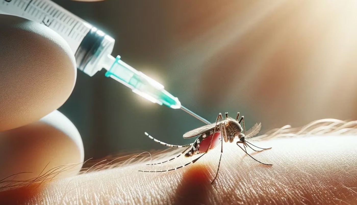 Vacuna contra el dengue: la provincia compró 160.000 dosis | Información General