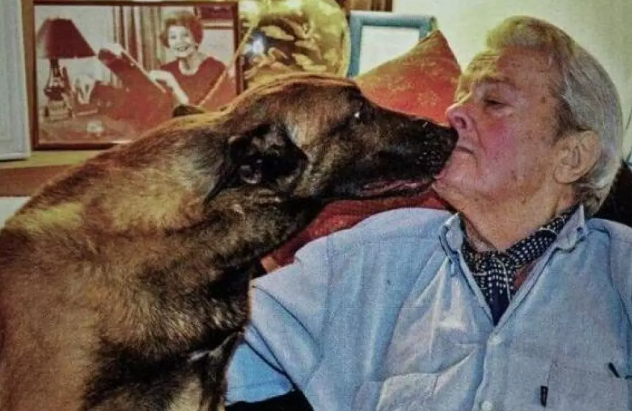 Qué pasará con el perro de Alain Delon: el actor pidió que sea sacrificado para que no muera "de pena" | Espectaculos