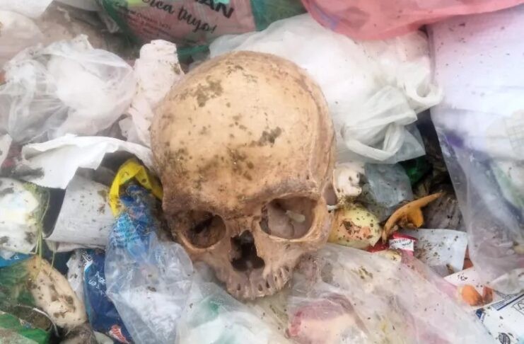 Impactante: recolectores de basura hallaron un cráneo humano | Información General