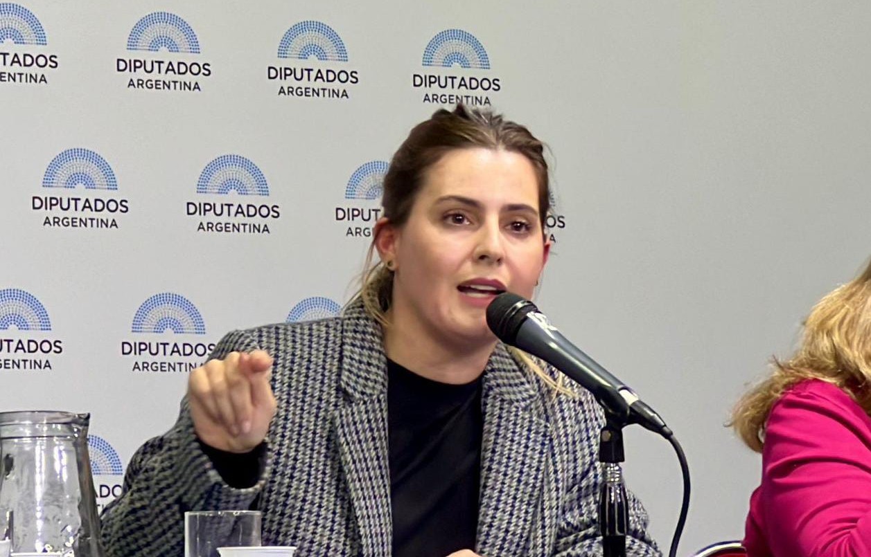 La diputada Lionela Cattalini rechazó la postulación de Lijo a la Corte Suprema | Información General