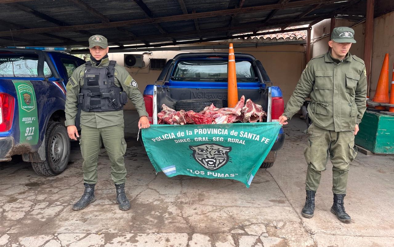 Recreo: detuvieron a cuatrero por el robo y faenamiento de un novillo | Policiales