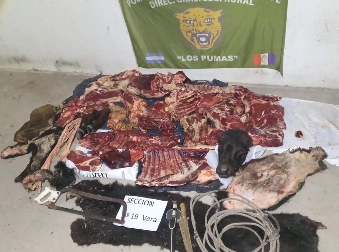 Vera: interceptaron auto que llevaba animal faenado clandestinamente | Policiales