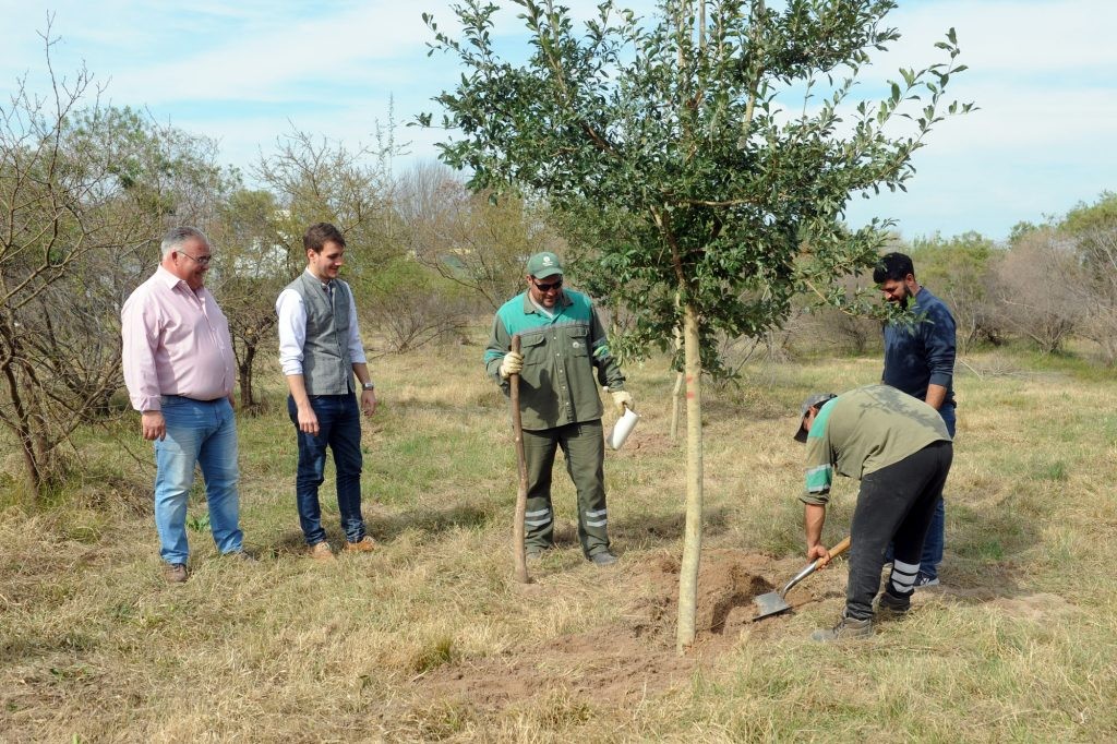 Campaña de Forestación: se plantaron 120 árboles donde antes había un basural | Información General