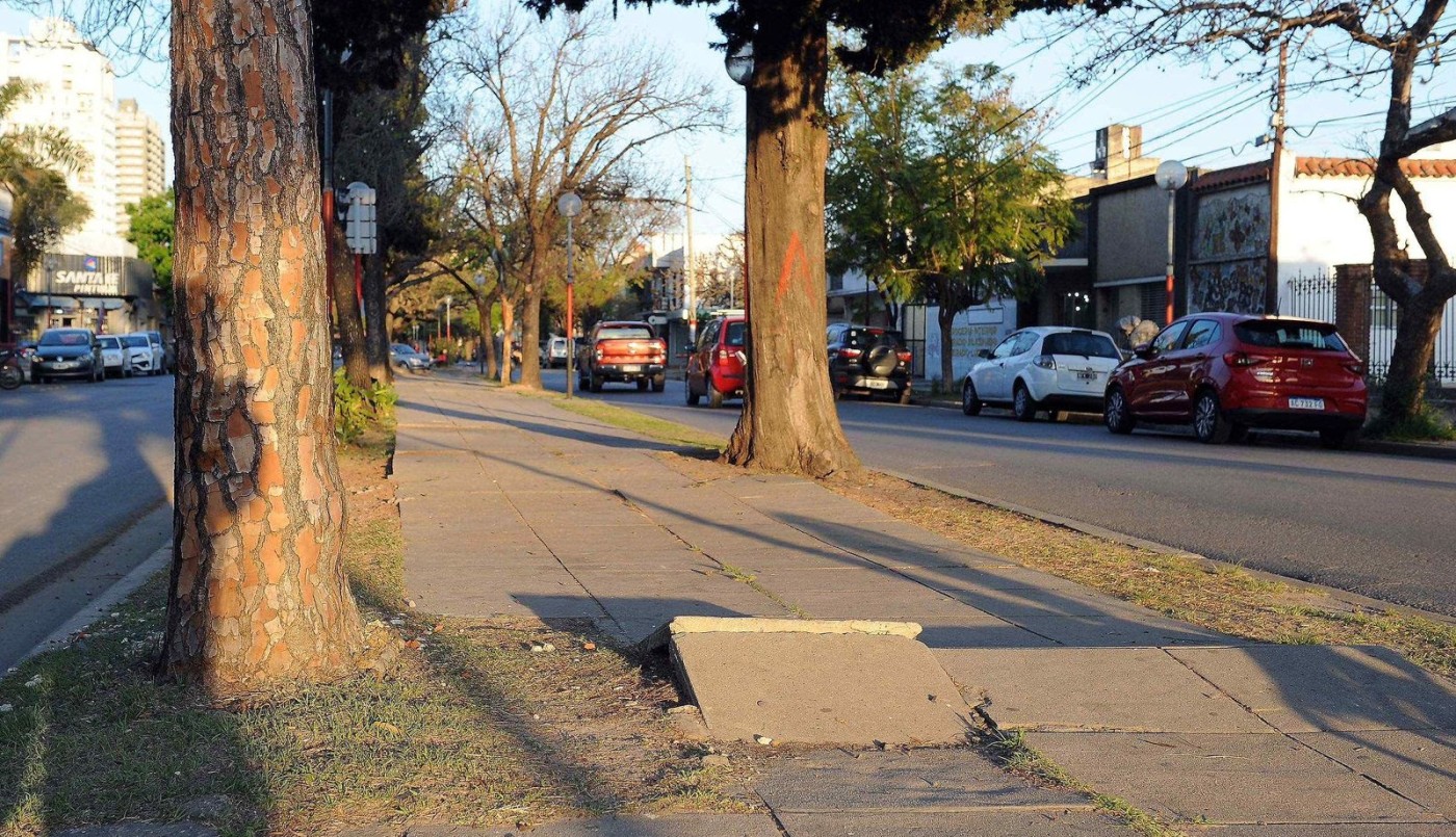 Licitarán la puesta en valor del cantero central de Avenida J.J. Paso | Información General