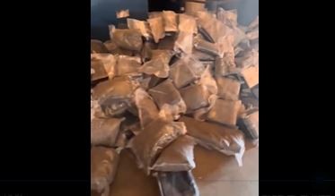 Se descargaron 500 kilos de marihuana en un criadero de pollos en Exaltación de la Cruz | Nacionales