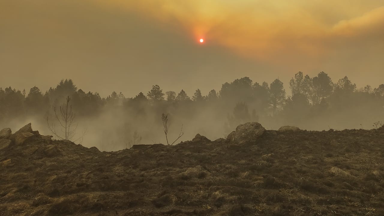 Fiscales ambientales piden que se legisle el Ecocidio | Nacionales