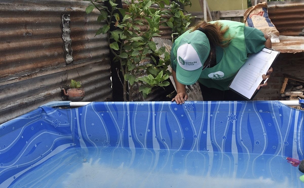 Detectaron mosquitos del dengue en dos barrios de la ciudad | Información General