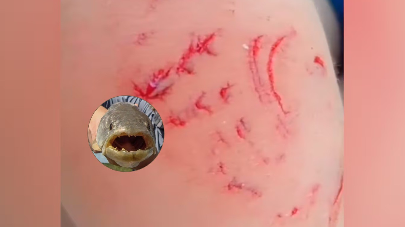 Video: una tararira atacó a un nene en un río de Córdoba | Información General