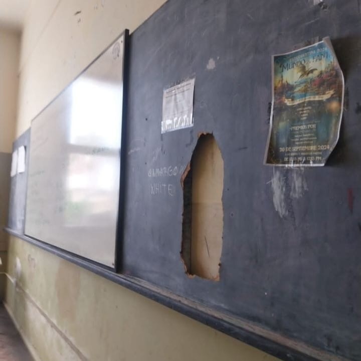 Se viralizaron imágenes del estado de la Escuela Comercial Domingo Silva | Noticias