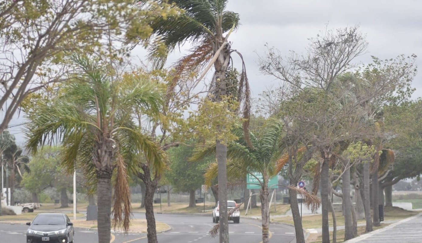 Santa Fe vivió un viernes con ráfagas de viento que rozaron los 50 km/h | Información General