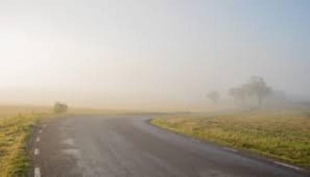 Tránsito: bancos de niebla y neblinas complican la visibilidad en las rutas de la provincia | Información General