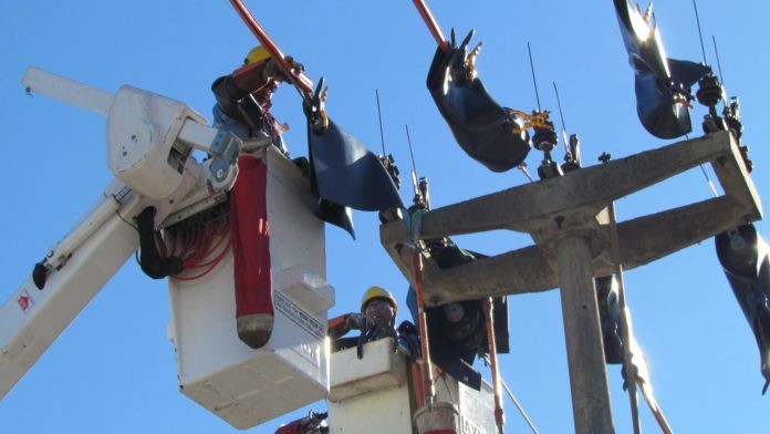 La EPE concreta trabajos en Santo Tomé y Sauce Viejo | Noticias