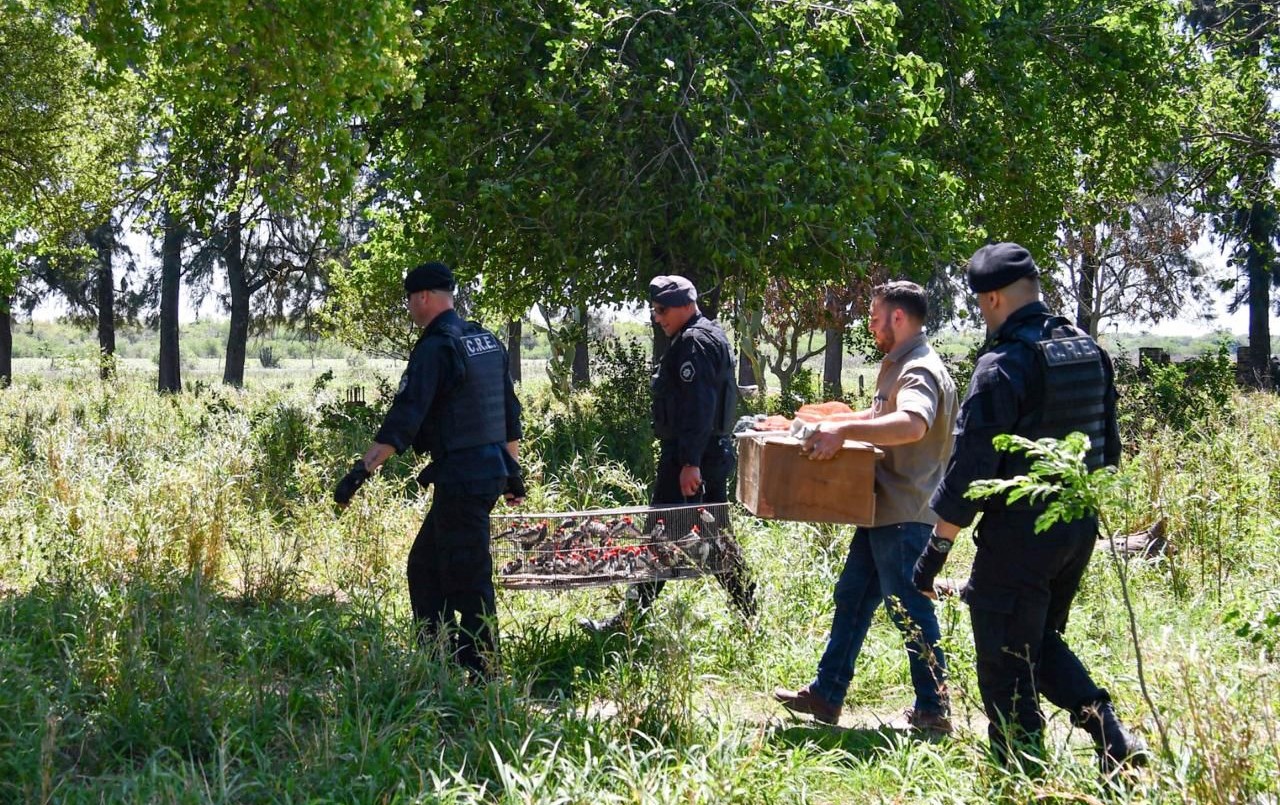 Multas más caras por cazar y comercializar fauna silvestre en la provincia | Información General
