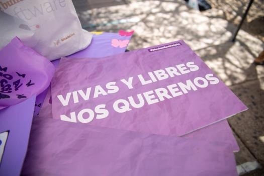 25N: según la provincia, en un año bajaron a las muertes violentas de mujeres | Igualdad y Género