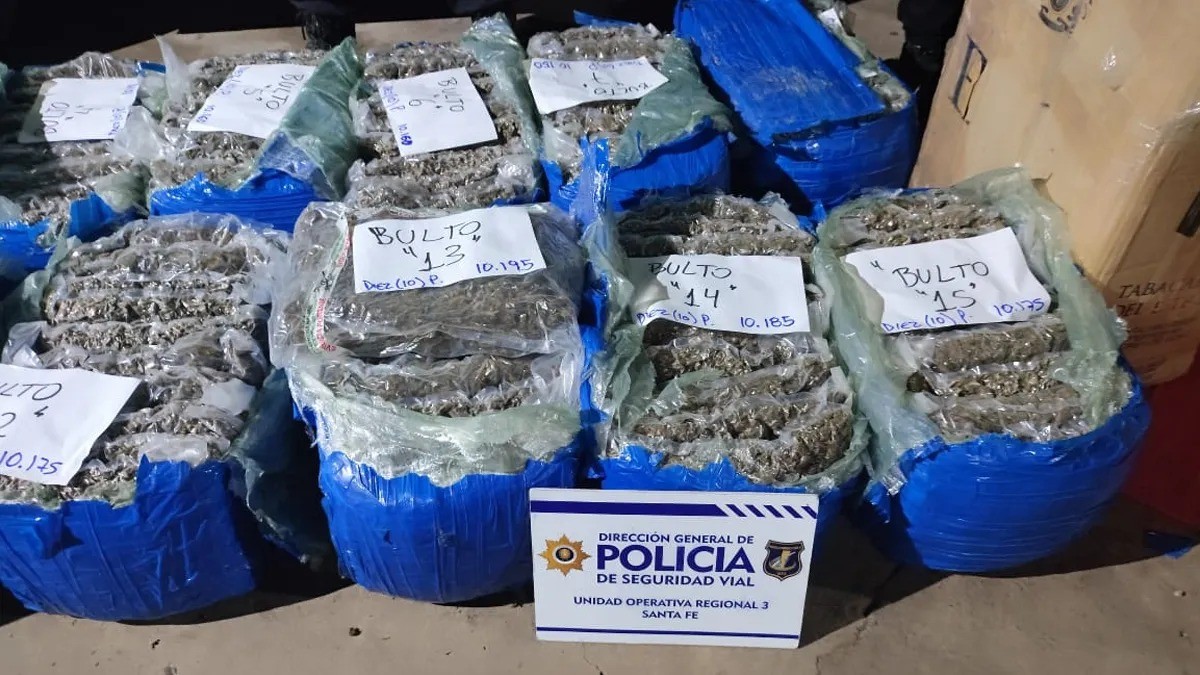 Sauce Viejo: secuestraron más de 200 kilos de marihuana en un control | Policiales