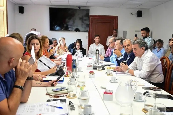 Reforma de la Constitución: no se descarta incluirla en las sesiones extraordinarias | Legislativas