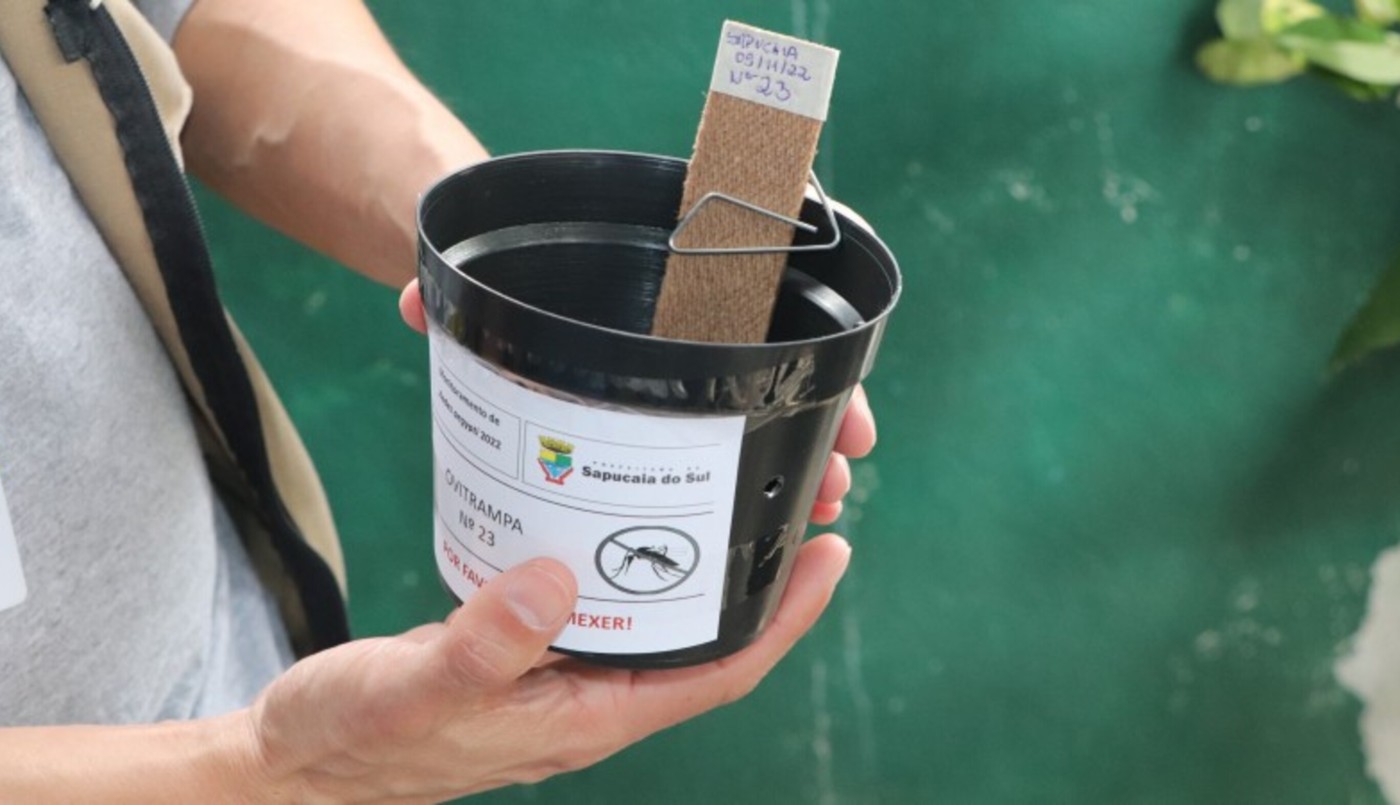 Detectan presencia del mosquito del dengue en 23 barrios de Santa Fe | Noticias