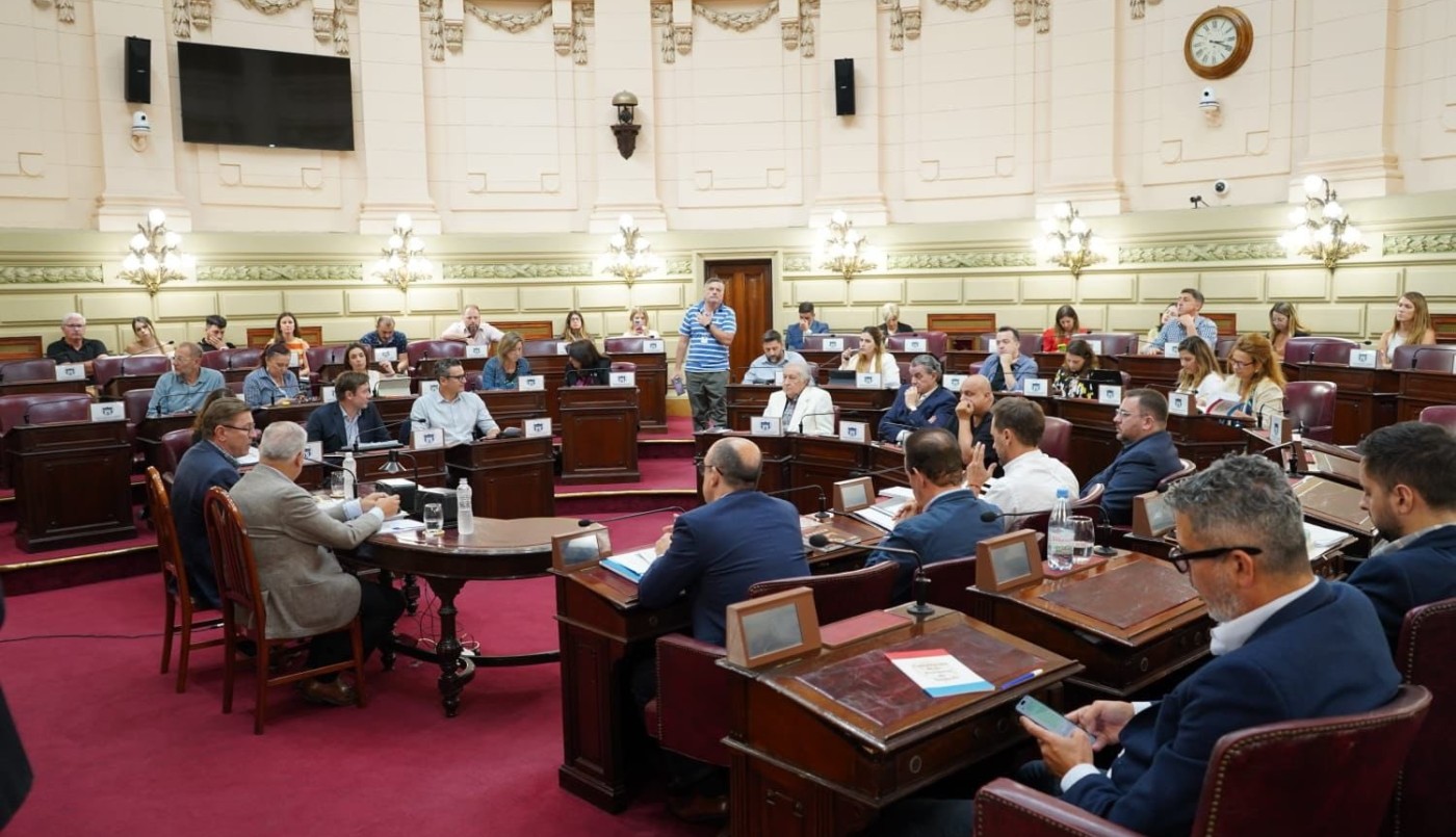 Balotaje, conformación del Senado y reelección: las discusiones de la reforma constitucional | Noticias