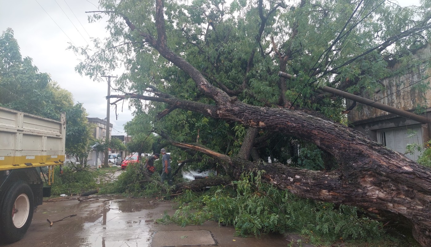 Santa Fe: ¿qué zonas de la ciudad se encuentran sin luz? | Noticias