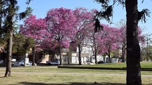 Jornada agradable en la ciudad: mirá a cuánto llegará la temperatura este miércoles | Información General