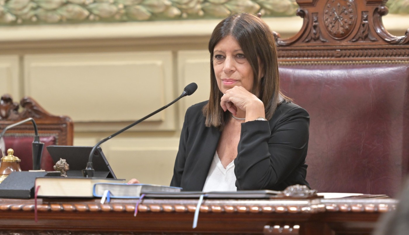 “El trabajo legislativo reflejó el cambio profundo que vive la provincia” | Legislativas