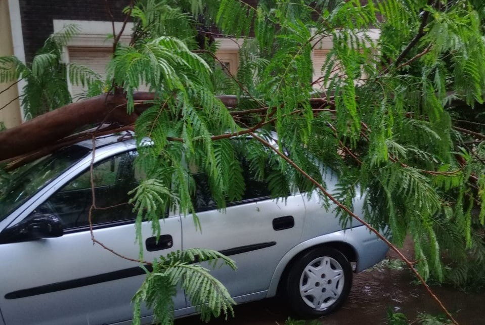 Lluvia en Santa Fe: un árbol cayó sobre un auto en Francia al 1200 | Información General