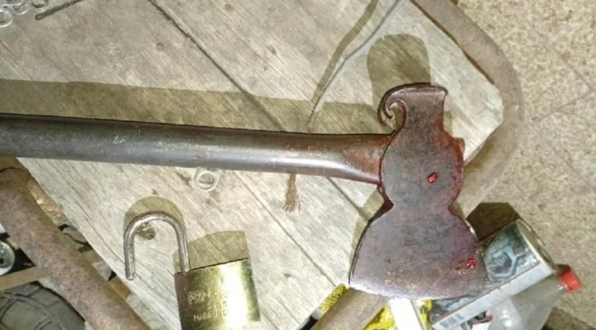 Discutió con su hermana y la mató de un hachazo en la cabeza | Nacionales