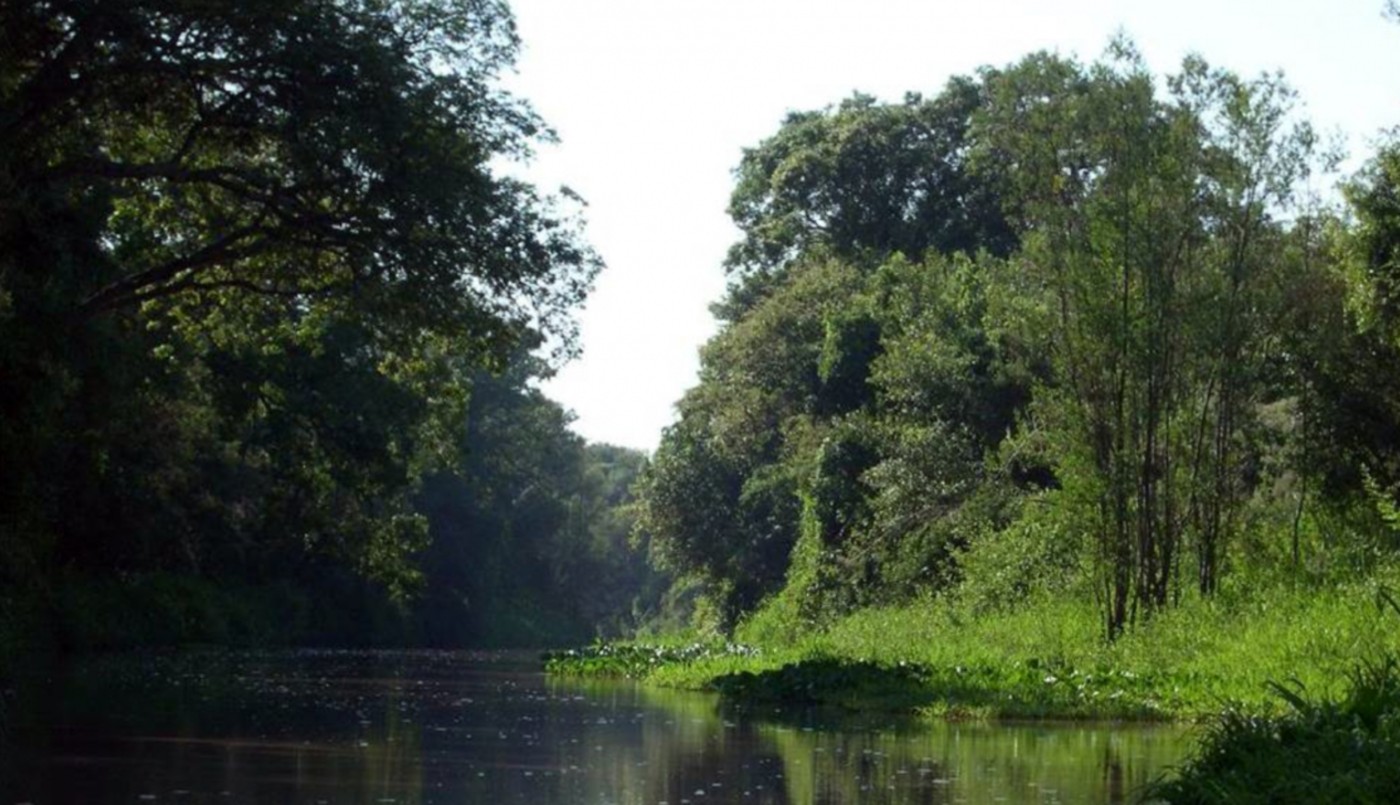 Proponen reconocer al agua y los humedales como sujetos de derechos en la Constitución santafesina | Información General