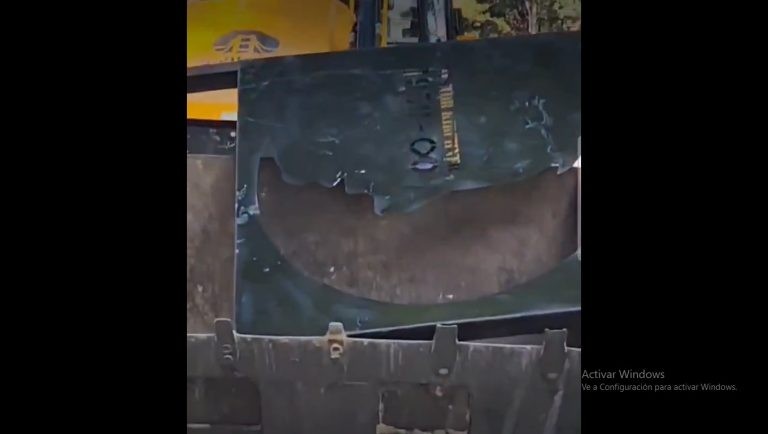 La municipalidad retiró la placa de Néstor Kirchner de la Costanera: "es provisorio" | Noticias