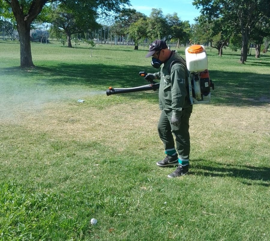 Invasión de mosquitos: cómo es el cronograma de fumigaciones de esta semana en Santa Fe | Noticias