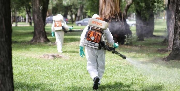 Dengue: en qué zonas de la ciudad se fumiga este jueves | Noticias