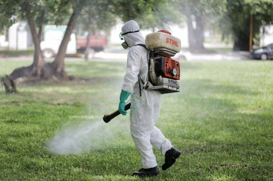 Invasión de mosquitos: dónde se fumiga este viernes en Santa Fe | Noticias