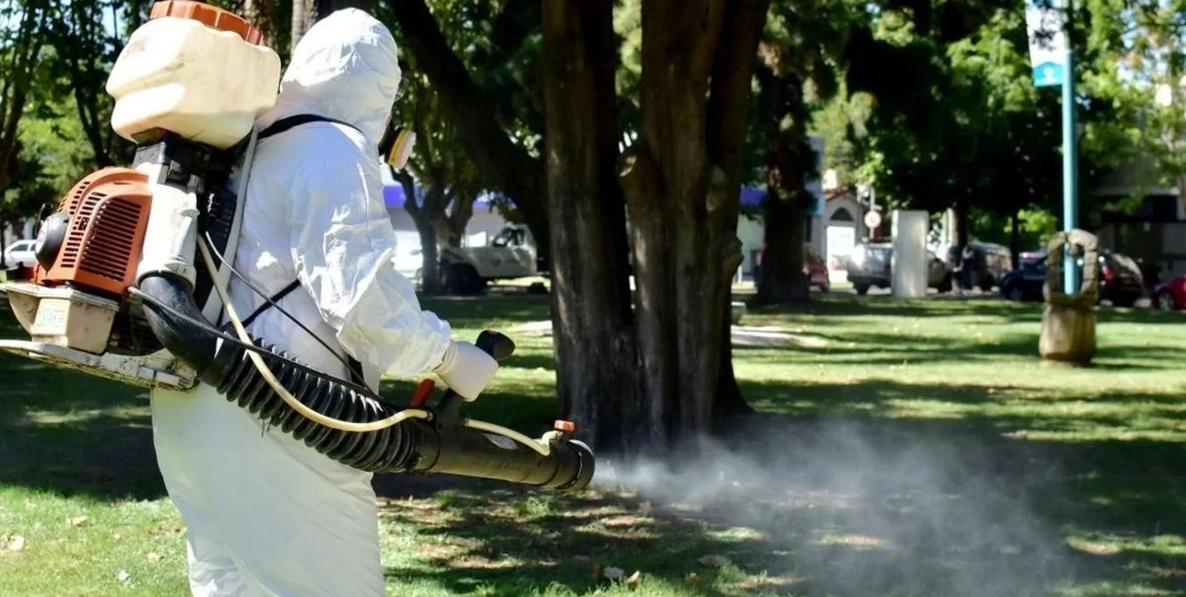 Dengue: en estas zonas se fumiga este martes en Santa Fe | Noticias