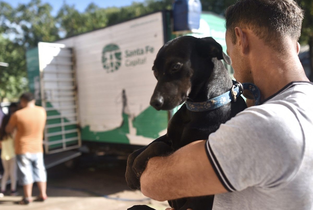 El IMUSA realizará castraciones gratuitas en barrio Acería | Noticias