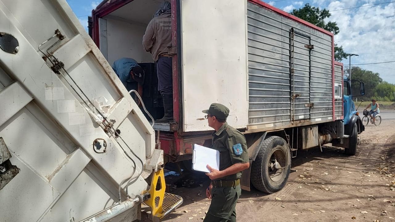 Decomisaron 3.000 sábalos en un operativo de control en Arroyo Seco | Policiales