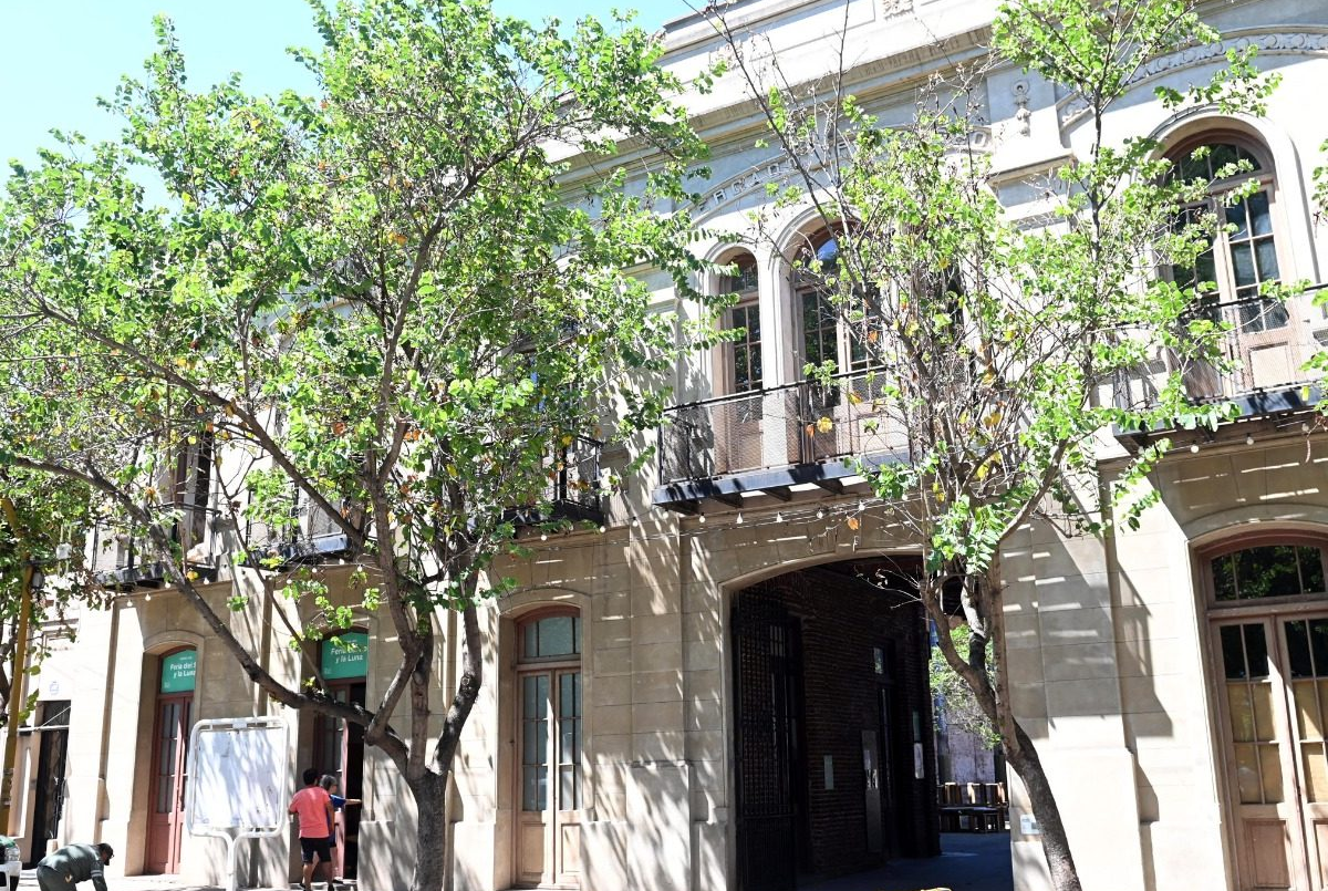 El Mercado Progreso festeja sus 100 años de vida con arte, cultura e historia | Información General