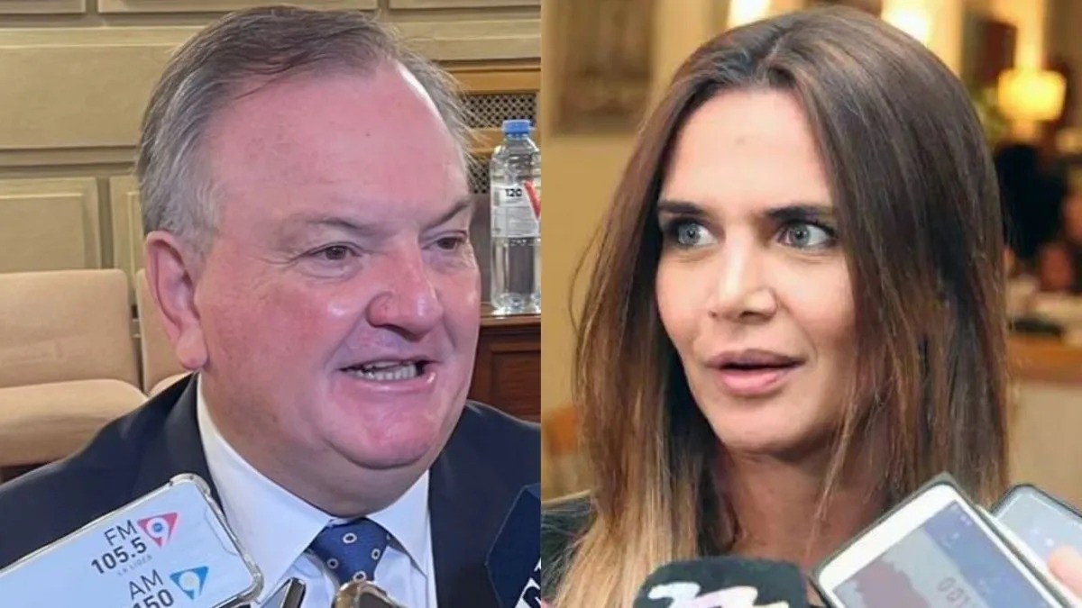 Granata y Michlig tuvieron una fuerte discusión en la Asamblea Legislativa | Legislativas