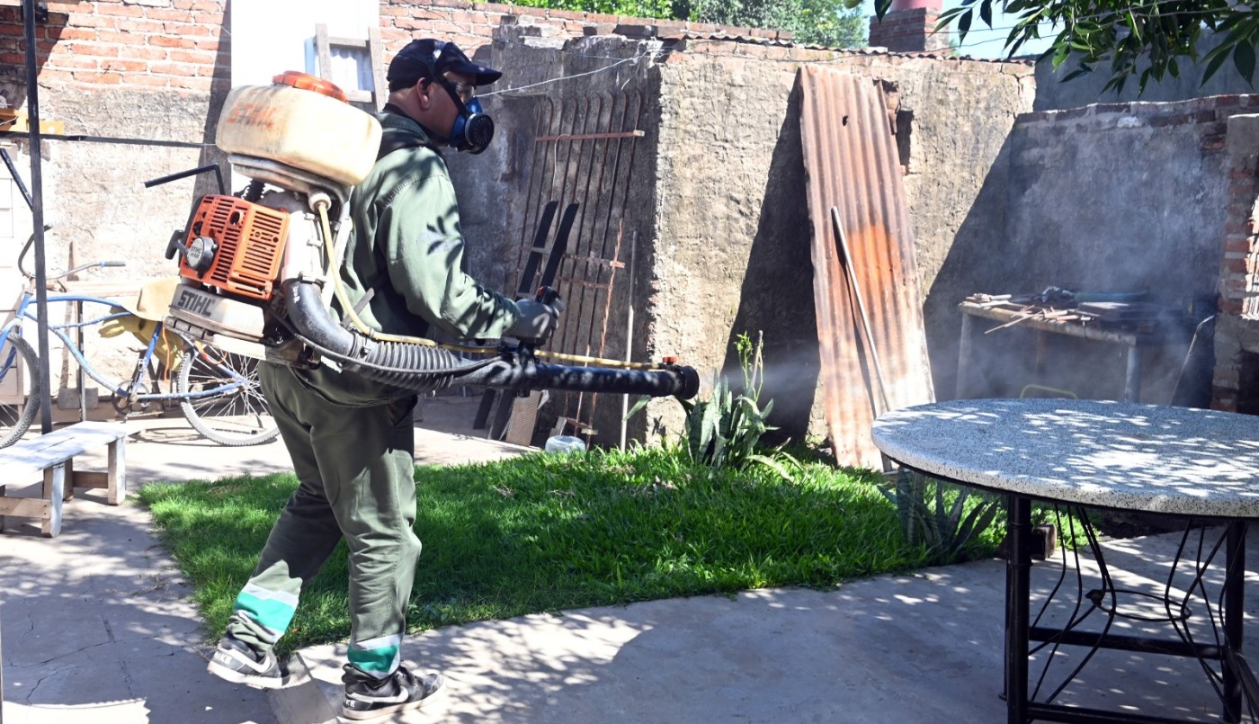 Dengue: se confirman nuevos casos y se refuerzan las tareas de prevención | Salud