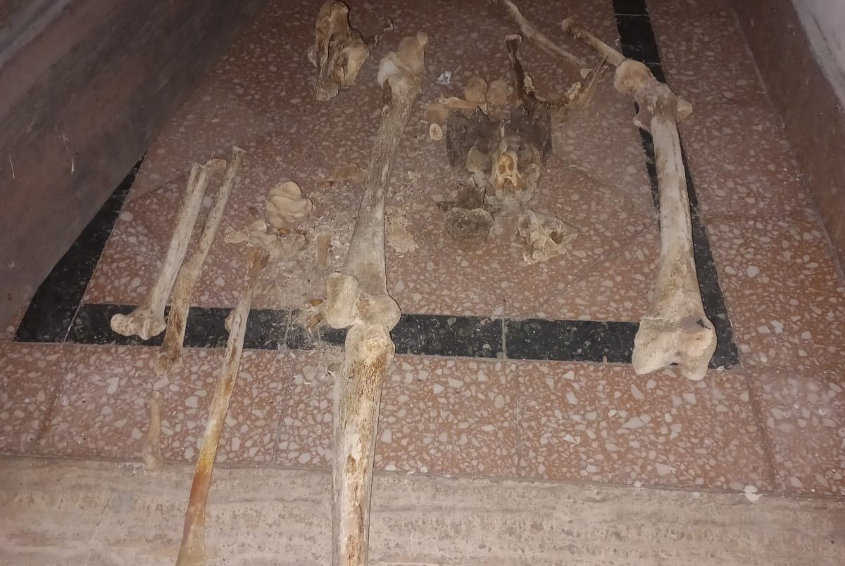 Encontraron restos óseos en un bolsa en el macrocentro santafesino | Policiales