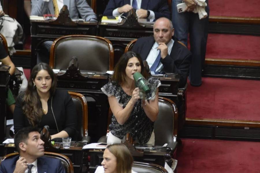 En medio de gritos sesiona la Cámara de Diputados para tratar el DNU sobre el FMI | Nacionales