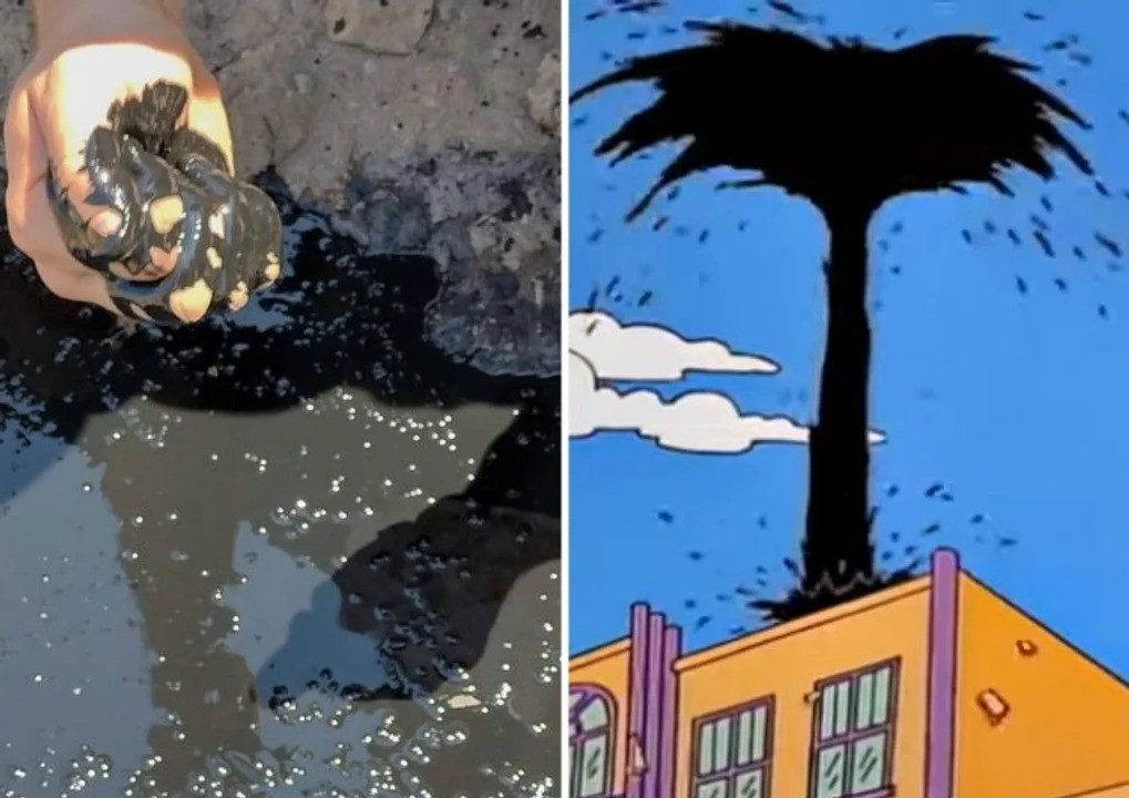 Como en Los Simpson: hacían una excavación en una escuela de Argentina y encontraron petróleo | Nacionales