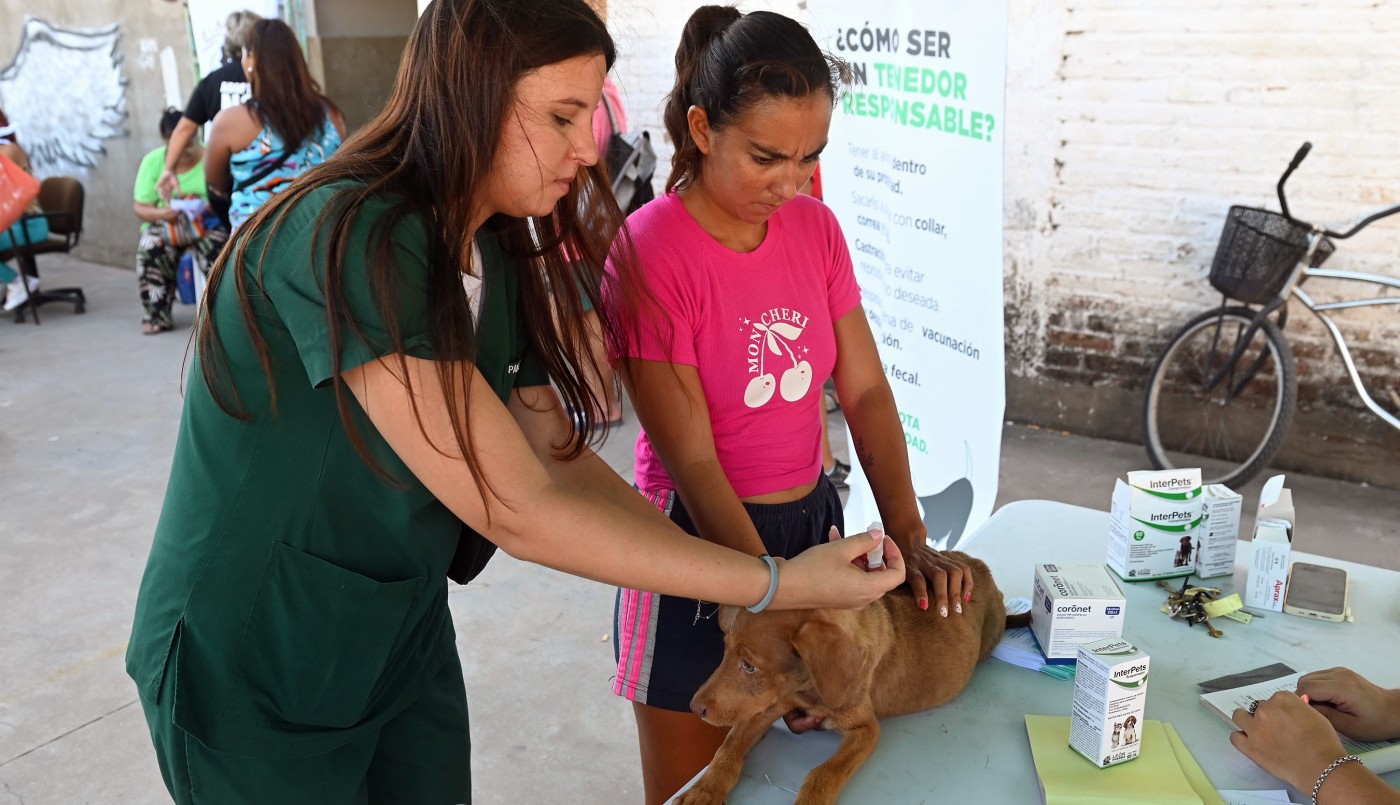 El IMUSA realizará atenciones gratuitas en barrio Bernardino Rivadavia | Noticias