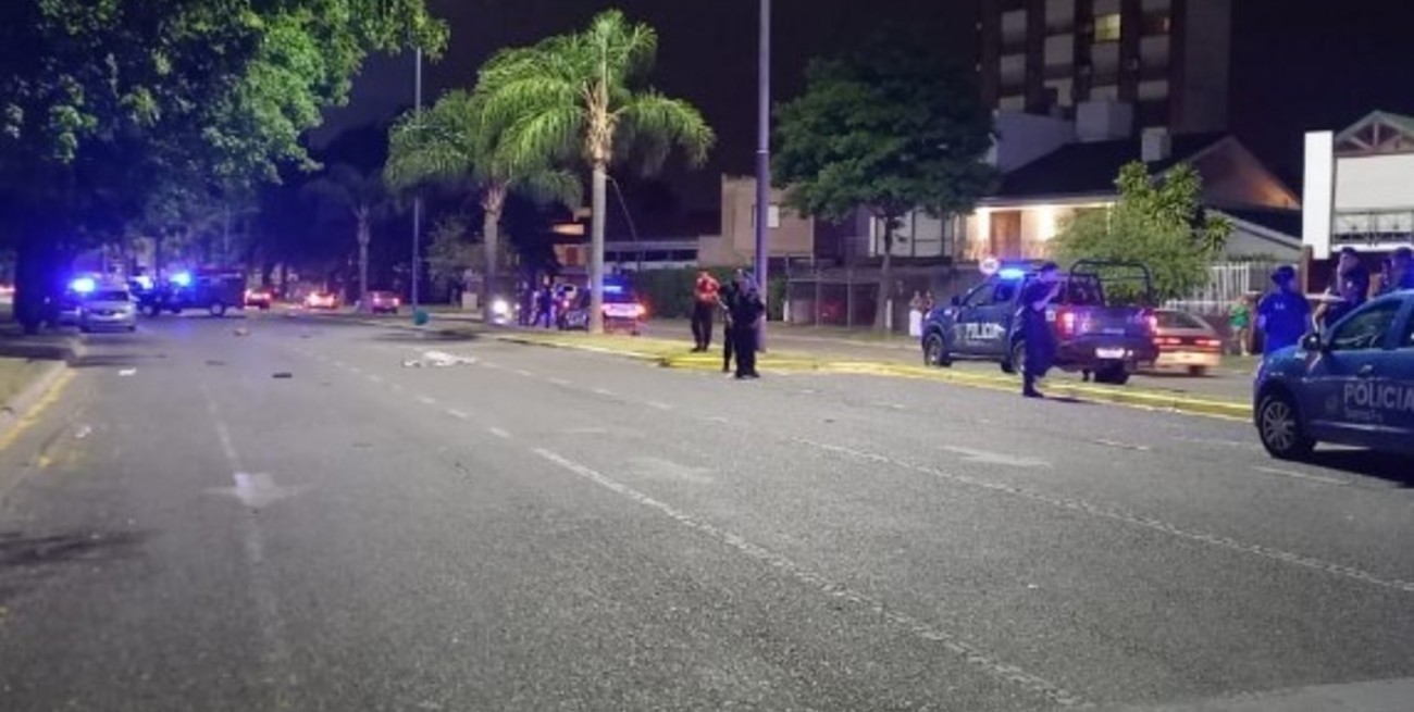 Proponen crear una Brigada Anti Picadas en la ciudad | Legislativas