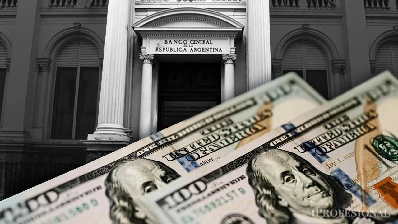 Levantamiento del cepo cambiario: cuántos dólares se podrán comprar desde el lunes | Información General