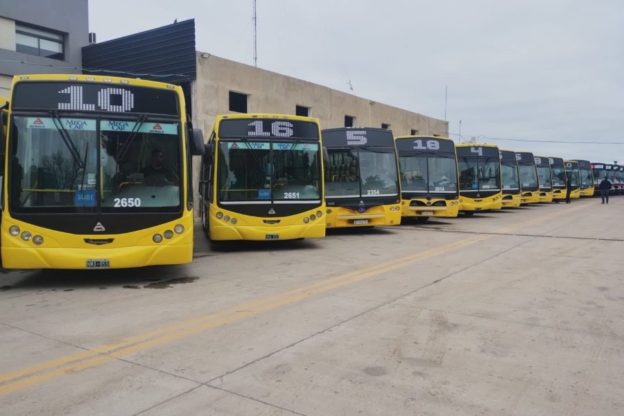 El boleto de colectivos será gratuito este domingo en Santa Fe | Noticias