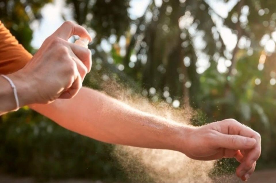 Dengue: los cuidados que deben tener quienes viajen por el finde largo | Salud